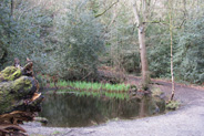 Rowhill Nature Reserve